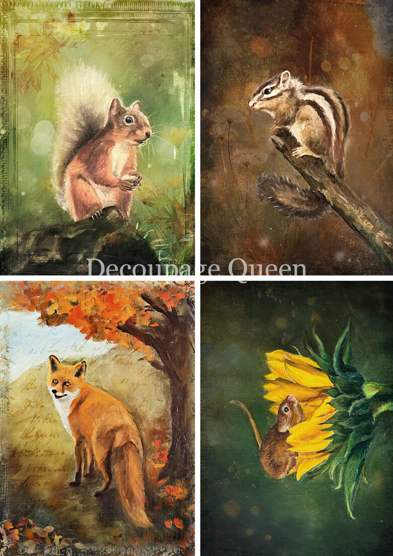 Teresa Rene Art - Woodland Creaturs Four Pack 0823