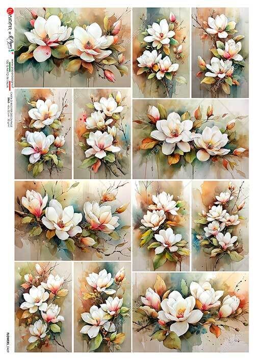 FLOWERS_0469
