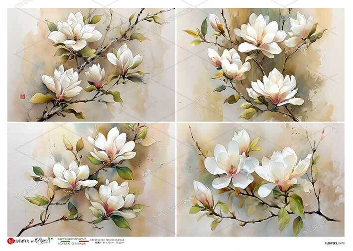 FLOWERS_0470