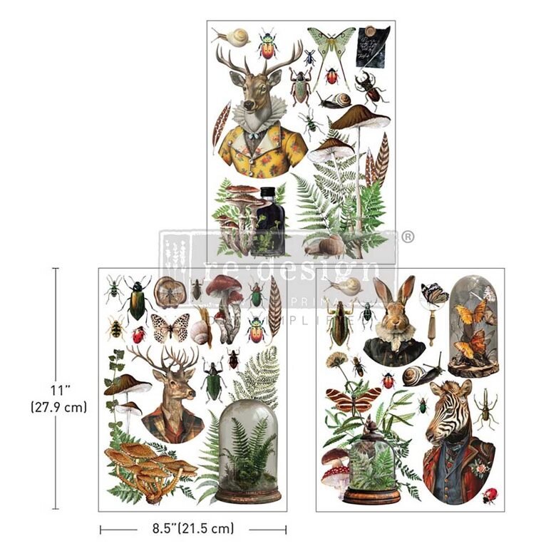 Ephemera Enclave, Middy (ReDesign)