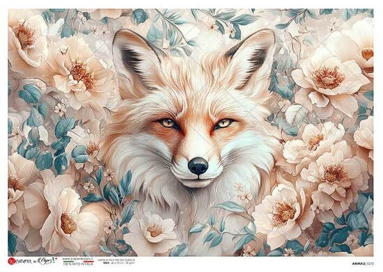 ANIMALS_0272