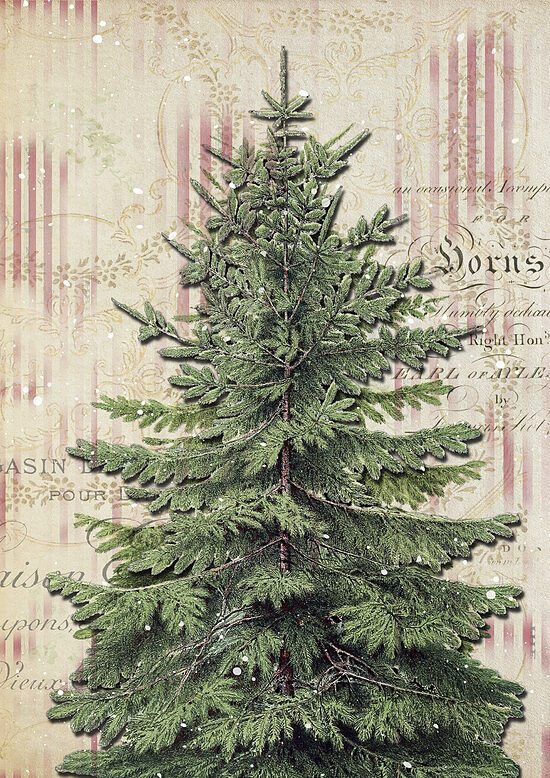 ellen j goods - The Still Pine 0913