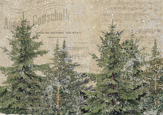 ellen j goods - The North Woods 0912