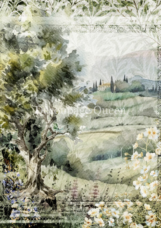 Italian Vineyard 0747