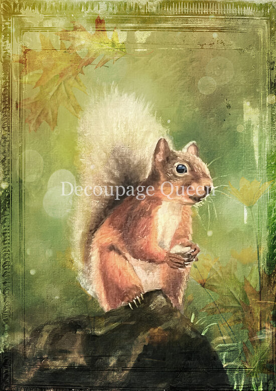 Teresa Rene Art - Woodland Squirrel 0819