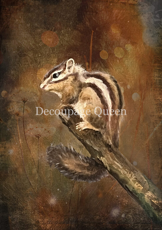 Teresa Rene Art - Resting Chipmunk 0820