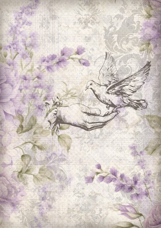 Pre-Order Iveta Ziedina - Dove 0865