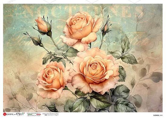 FLOWERS_0443