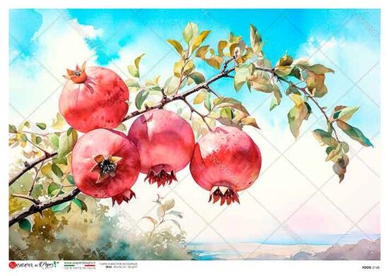 FOOD_0168