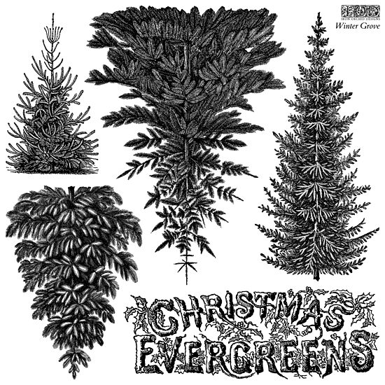 Winter Grove (Limited)