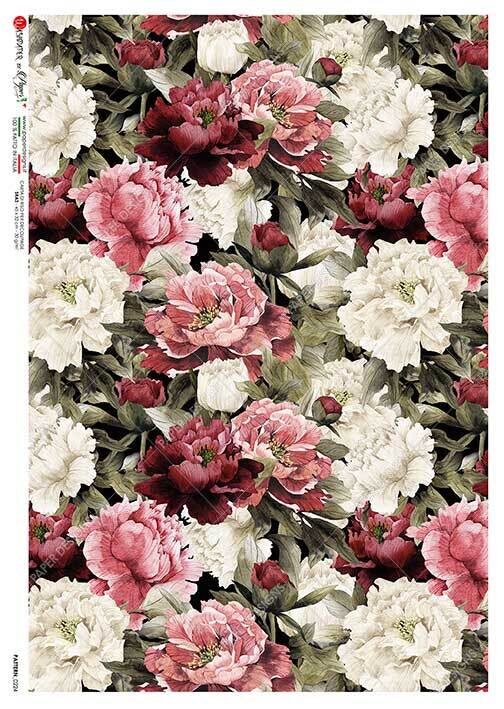 PATTERN_0224