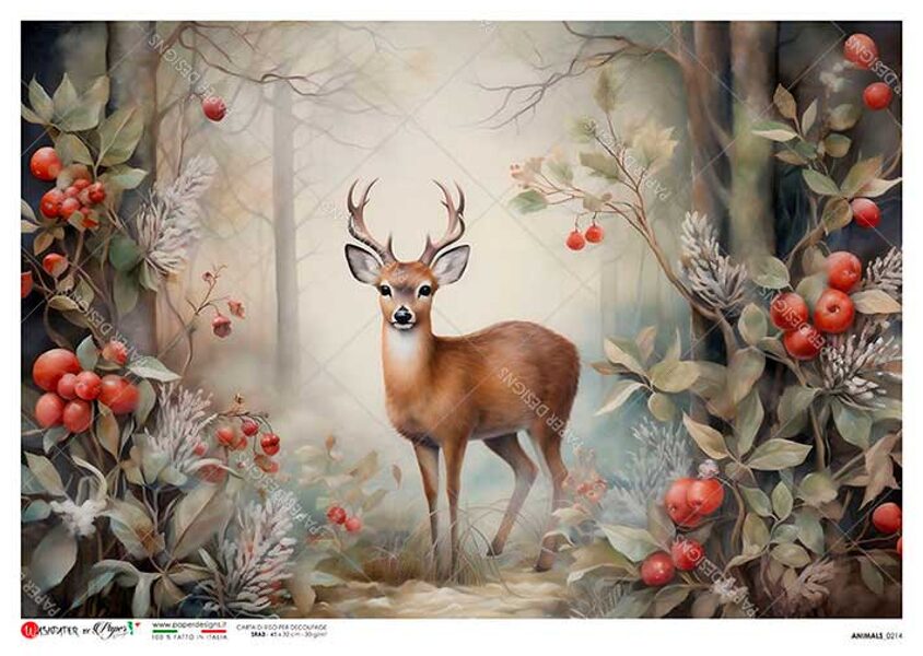 ANIMALS_0214