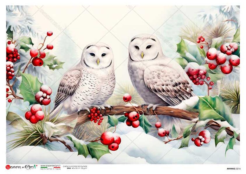 ANIMALS_0216