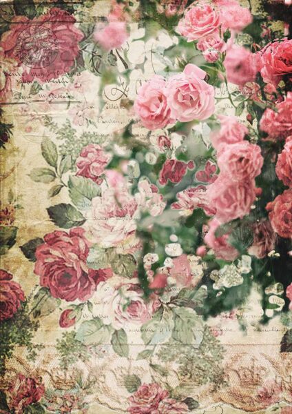 Splash of Roses