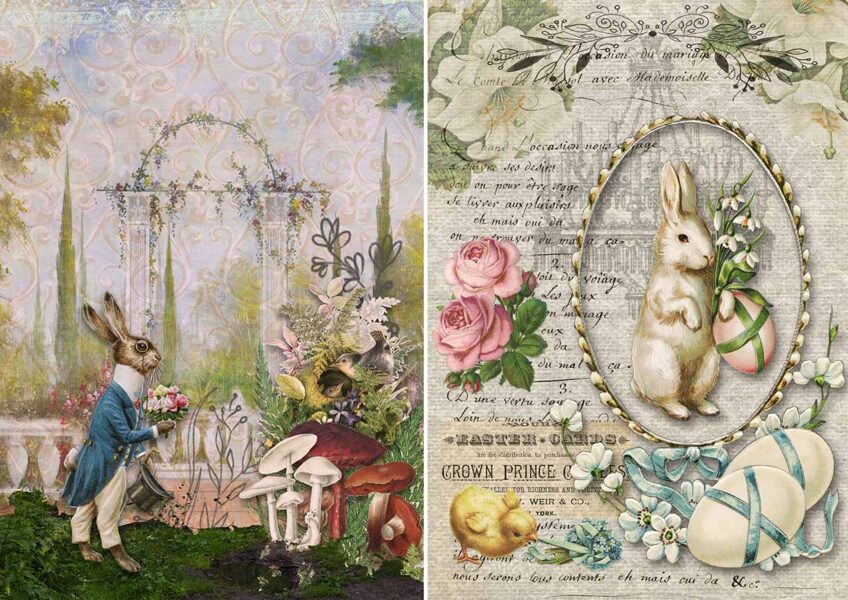 Two Bunnies