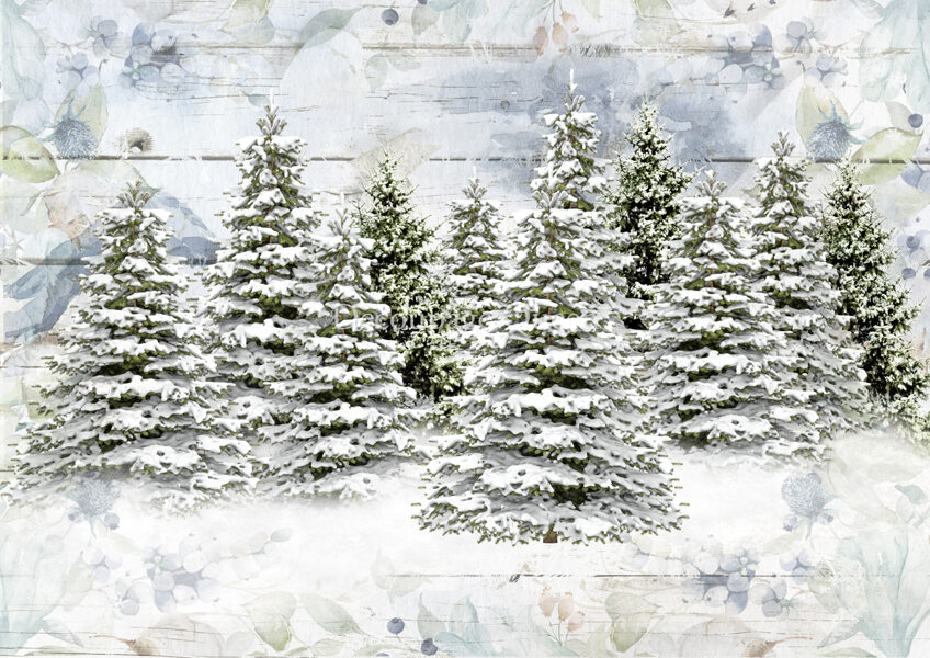 Woodland Trees 0517