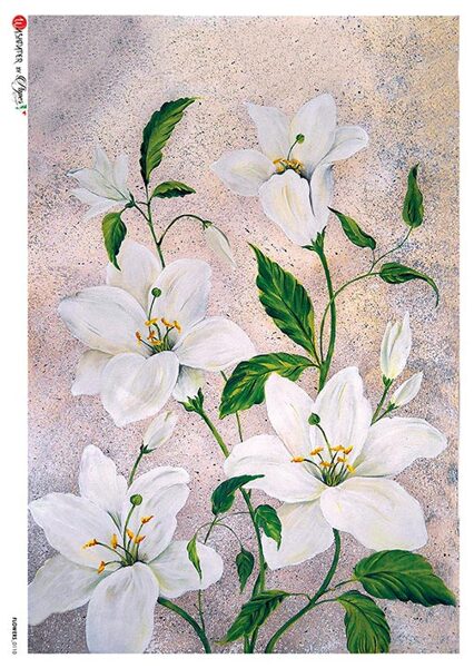 FLOWERS_0110