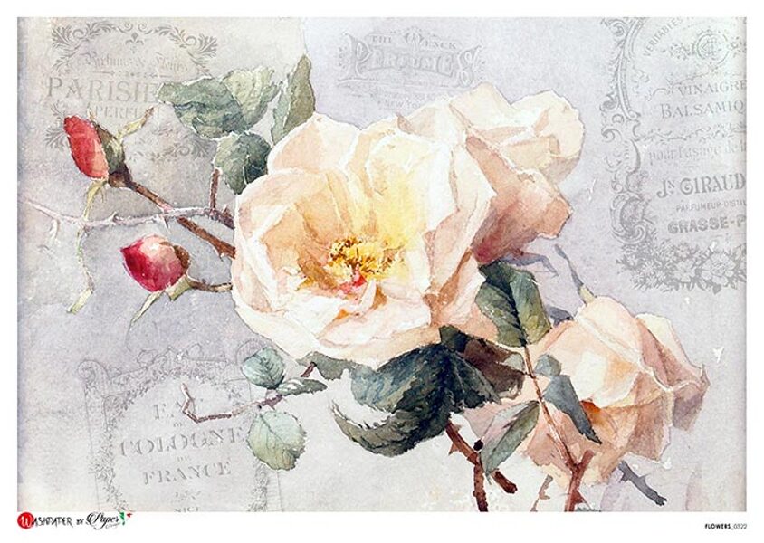 FLOWERS_0322