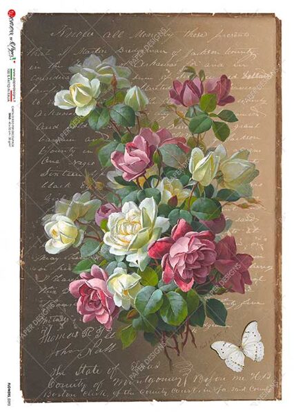 FLOWERS_0393