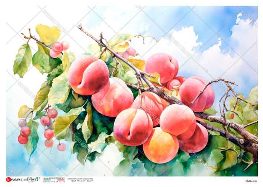 FOOD_0166