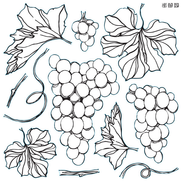 GRAPES