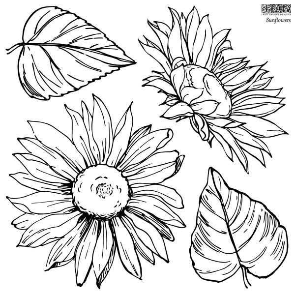 SUNFLOWERS
