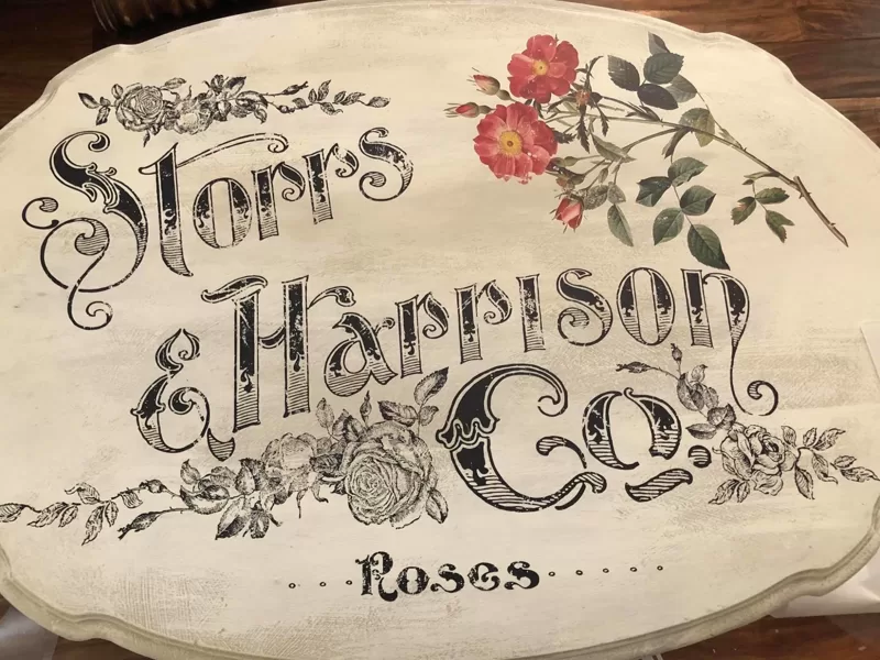 STORRS AND HARRISON
