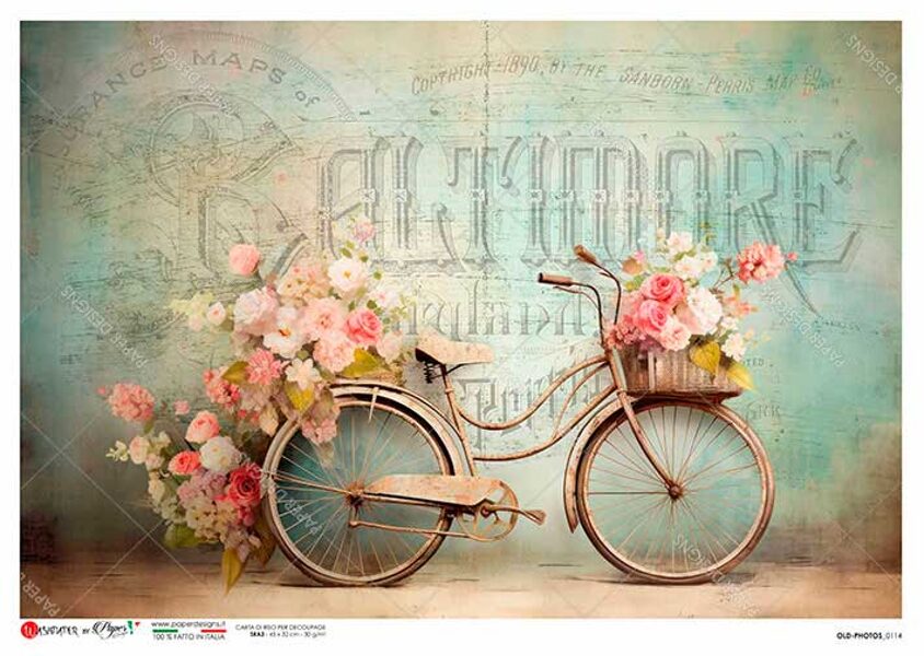 OLD PHOTOS_0114